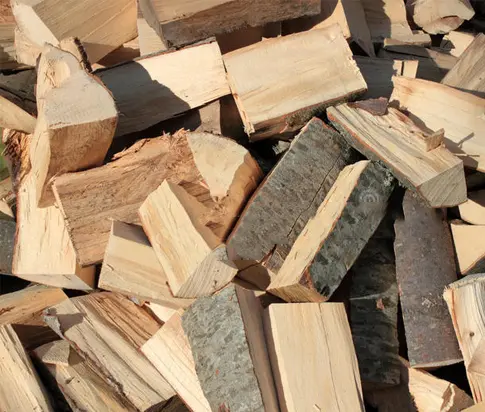 Beech firewood