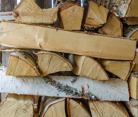 Birch Firewood