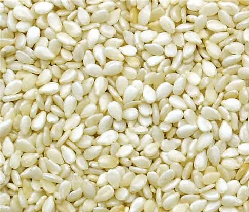 Sesame Seeds