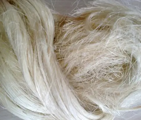 Sisal Fiber